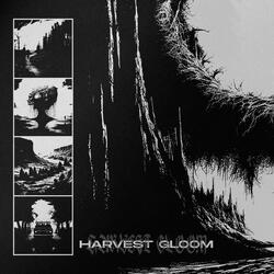 DISCIPLE OF MISERY