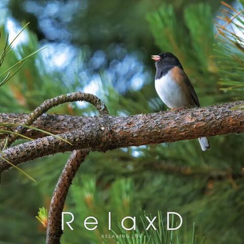 Nature Sounds - Bird Sounds Relaxation, Soothing Nature Sounds