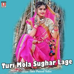 Turi Mola Sughar Lage