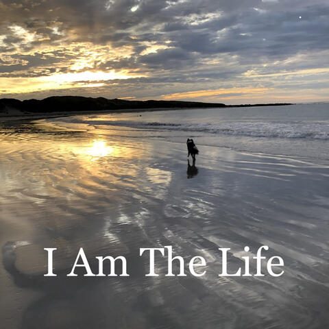 I Am The Life