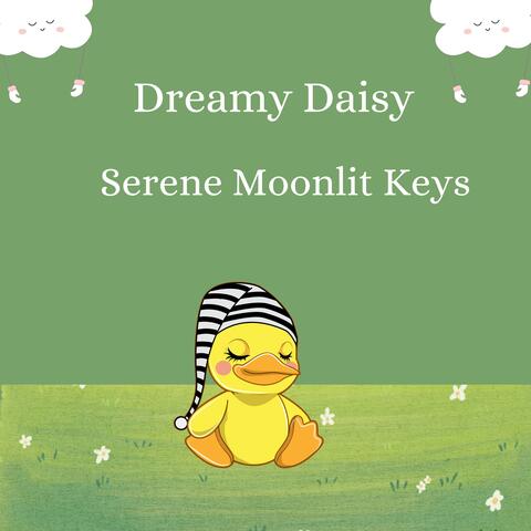 Serene Moonlit Keys