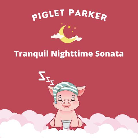 Tranquil Nighttime Sonata