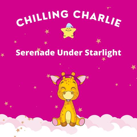 Serenade Under Starlight