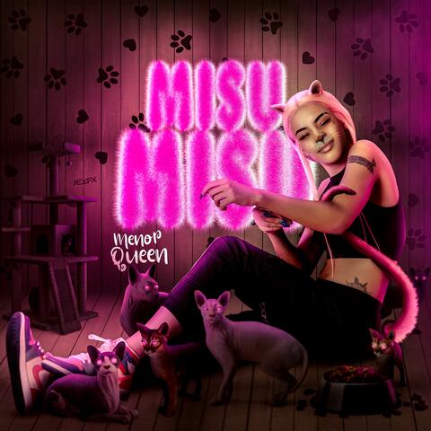 Misu Misu