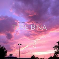 Tere Bina