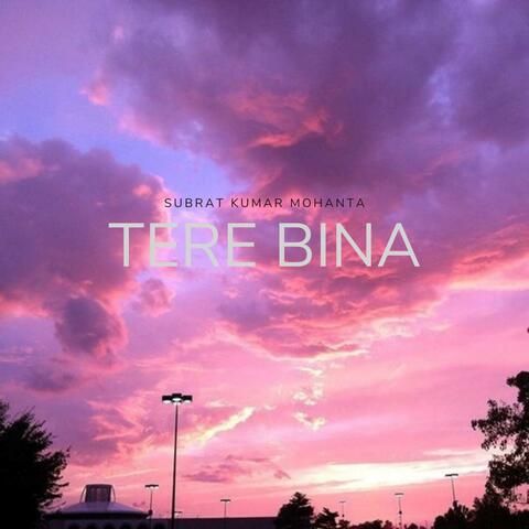 Tere Bina