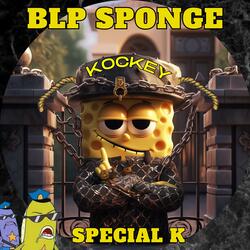 Special K BLP Sponge