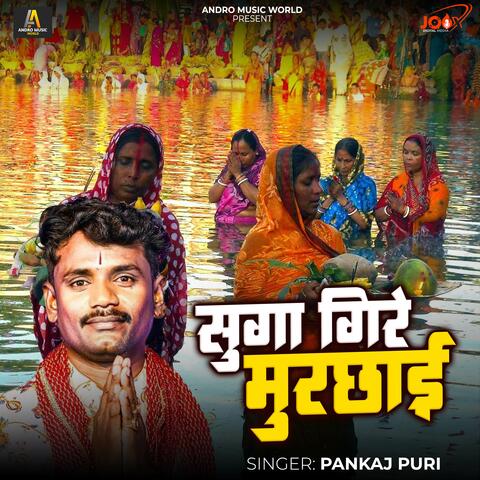 Suga Gire Murchay