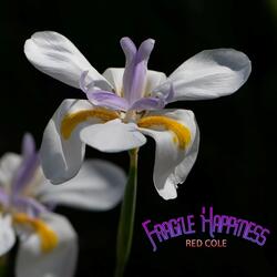 Fragile Happiness