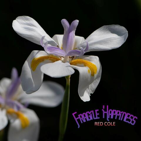 Fragile Happiness