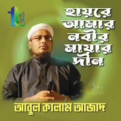 Hayre Amar Nabir Mayar Deen