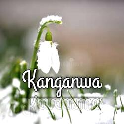 Kanganwa