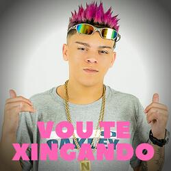 Vou Te Xingando