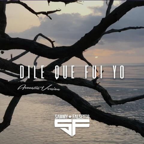 Dile Que Fui Yo