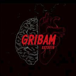 DISCO GRIBAM