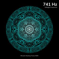 741 Hz - Body Cell Level Detox