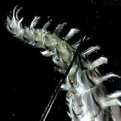 MONTAGEM ILUMINAÇÃO