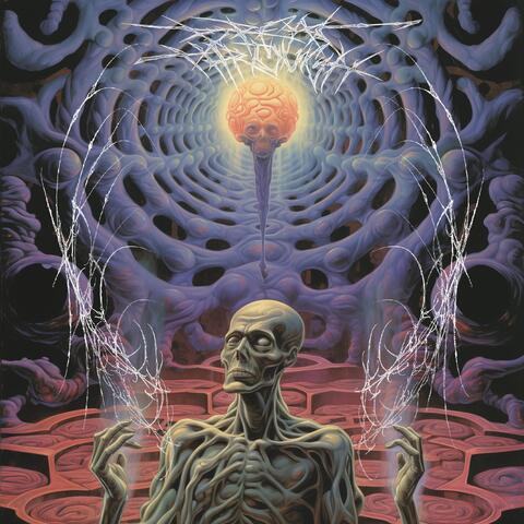 BREAK THROUGH