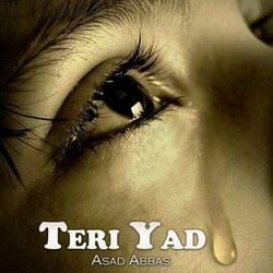 Teri Yad