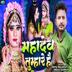 Mahadev Tumhare Hai