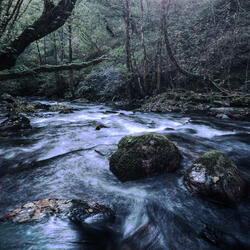 Flow of the  Mind