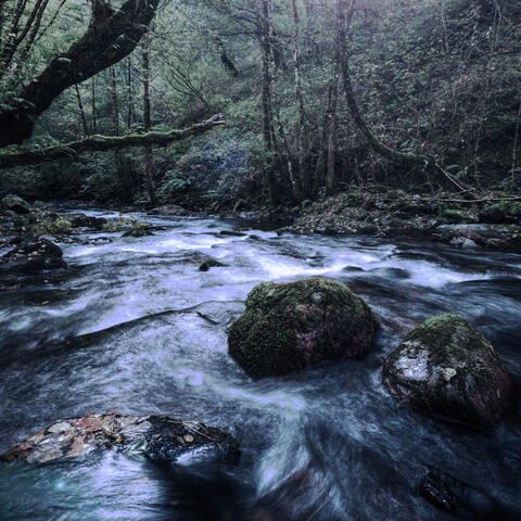 Flow of the  Mind