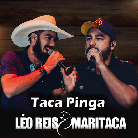 Taca Pinga