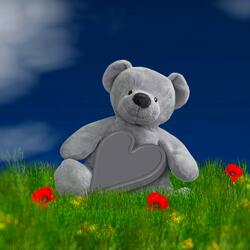 The Teddy Bear Goes Under The Blanket