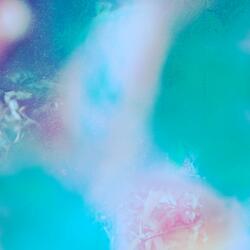 lucid dreaming
