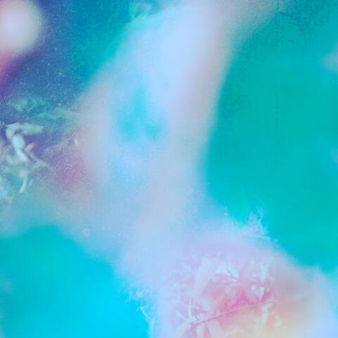 lucid dreaming