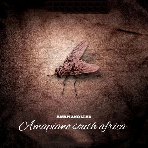 Amapiano south africa