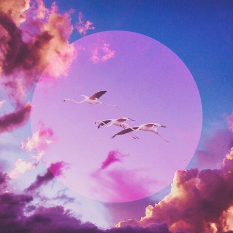 Beautiful Things Have Wings