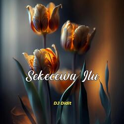 Sekecewa Itu