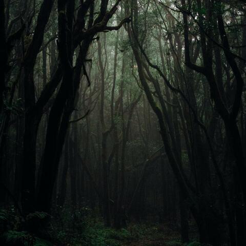 The Forest
