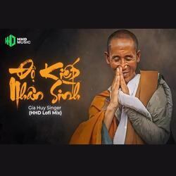Độ Kiếp Nhân Sinh (Lofi Ver.)
