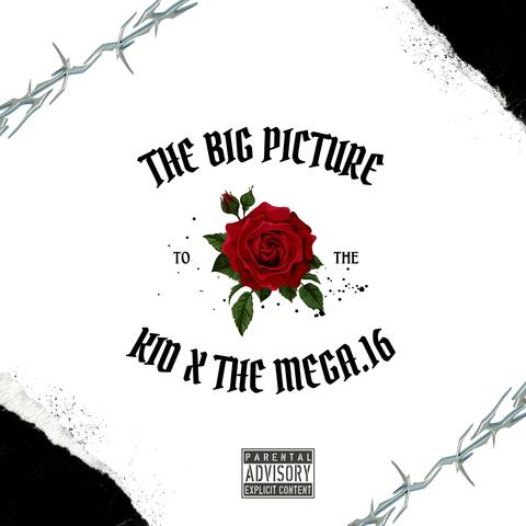 The Big Picture