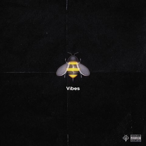 Vibes