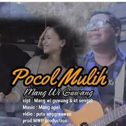 Pocol Mulih