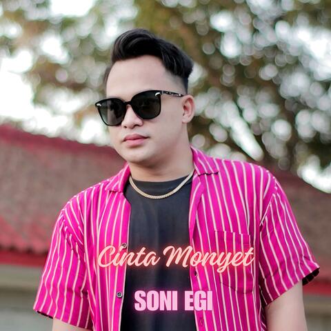 Cinta Monyet