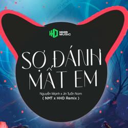 Sợ Đánh Mất Em (NMT Remix)