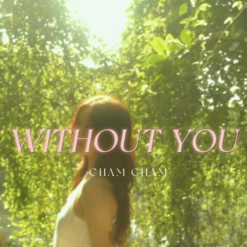 Without You