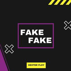 FAKE FAKE
