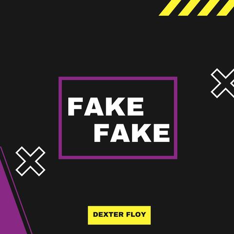 FAKE FAKE