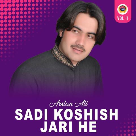 Sadi Koshish Jari He