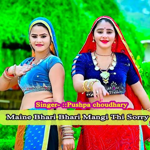 Maine Bhari Bhari Mangi Thi Sorry