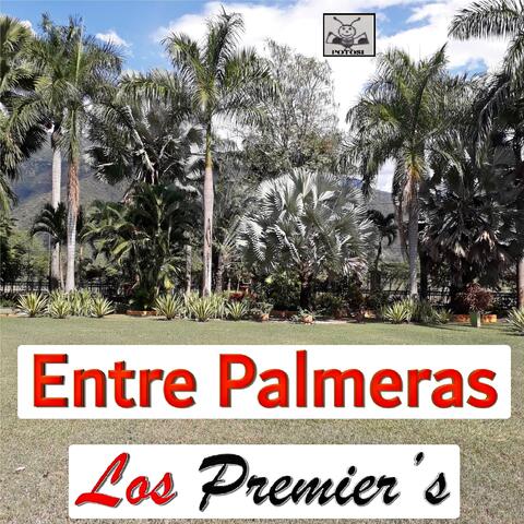 Entre Palmeras