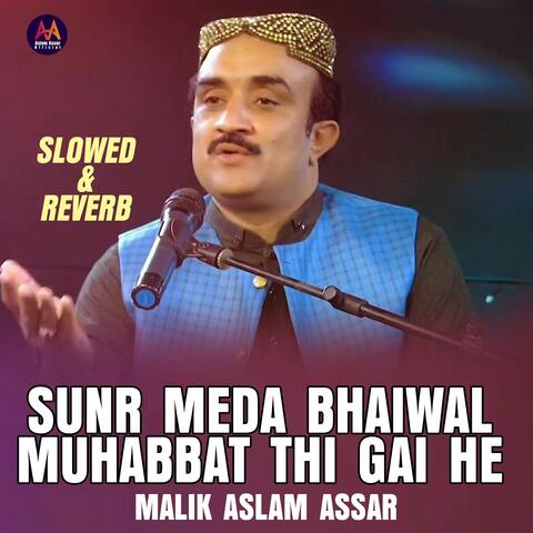 Sunr Meda Bhaiwal Muhabbat Thi Gai He (Slowed & Reverb)
