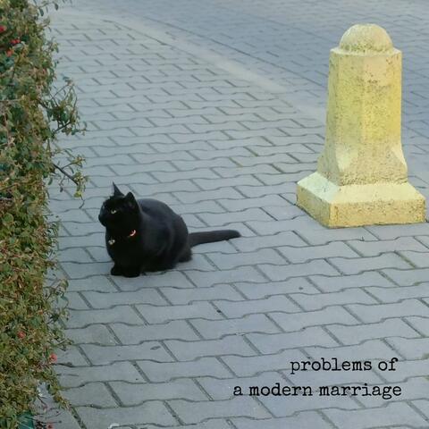 Problems of a Modern Marriage