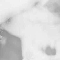 lucid dreaming