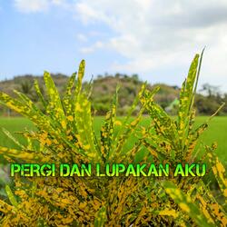 DJ PERGI DAN LUPAKAN AKU